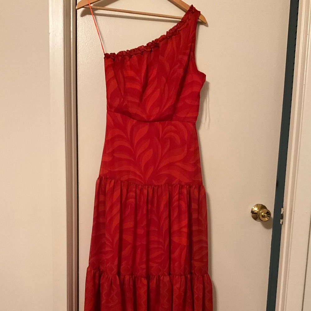 Taylor…rustic Orange long dress